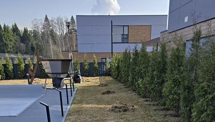 Уход за рулонным газоном весной