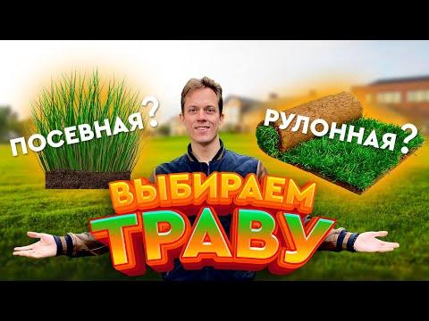 Главная